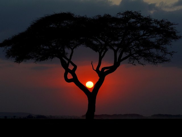 KENYA: RELAX A WATAMU E SAFARI AVVENTUROSO ALLO TSAVO EAST (MO)