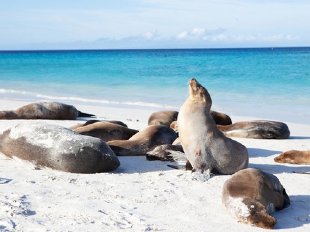 TOUR ECUADOR E GALAPAGOS FRA ANDE E AMAZZONIA AGOSTO 2026