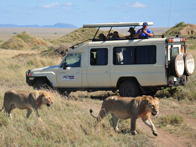 SPECIALE AGOSTO SAFARI IN TANZANIA GRANDE MIGRAZIONE
