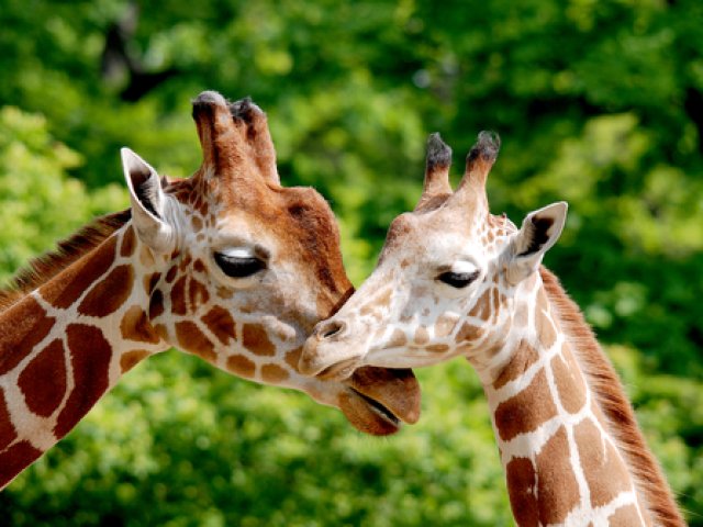 Sudafrica viaggio cultura e natura 2026 gj