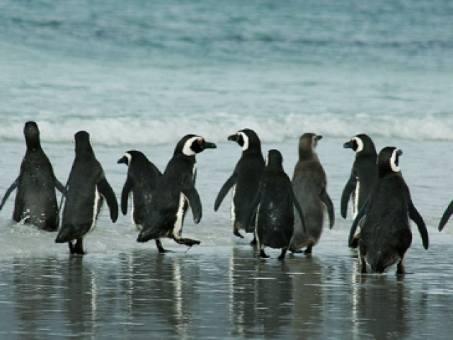 Argentina fra cascate e ghiacciai 