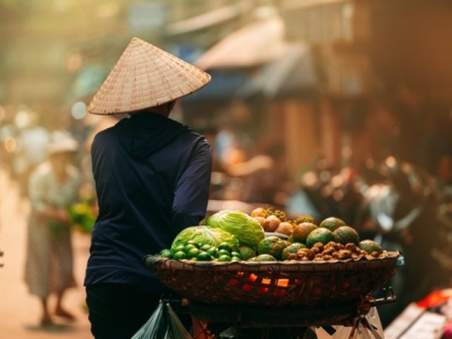 TOUR VIETNAM GERMOGLI DI ZENZERO SPECIALE NOVEMBRE 