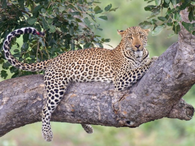 TOUR NAMIBIA SELVAGGIA CAPODANNO 2026