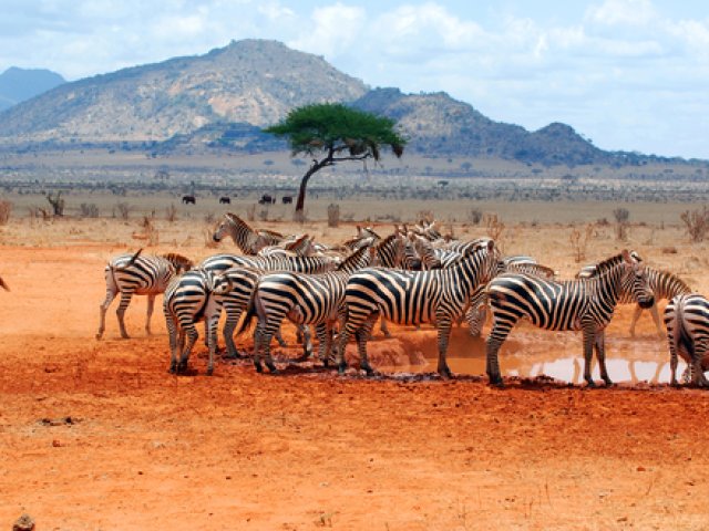 TOUR NAMIBIA SELVAGGIA NOVEMBRE E DICEMBRE 2026