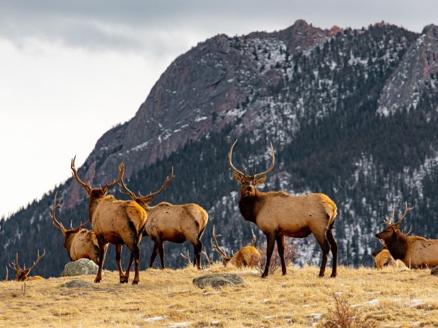 American Frontier Adventure 2026