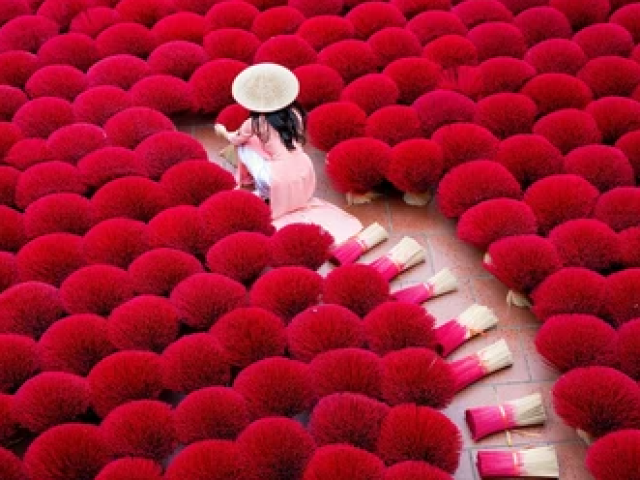 TOUR VIETNAM : GERMOGLI DI ZENZERO 