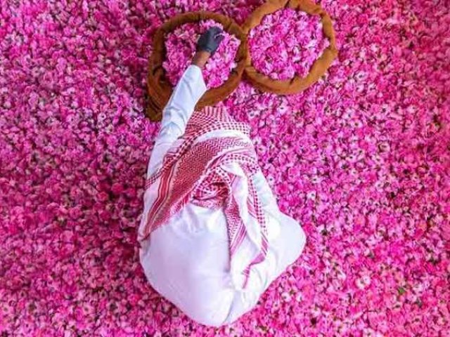 TOUR ARABIA SAUDITA : ROSA DEL DESERTO