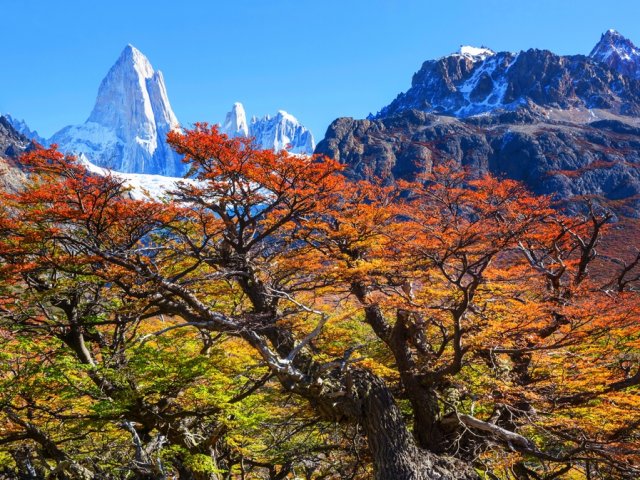 Tour Argentina: al Sud del Mondo