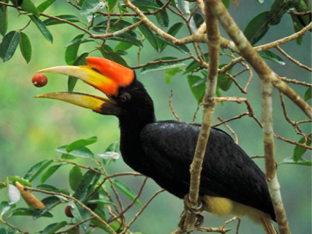 TOUR MALESIA : LA PERLA DI SANDOKAN