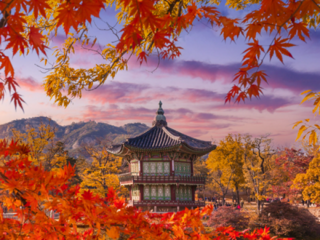 TOUR COREA :  IMUGI SAN