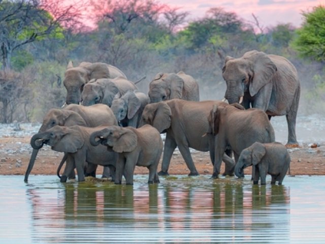 Speciale Grande Migrazione nel Sud del Serengeti E1
