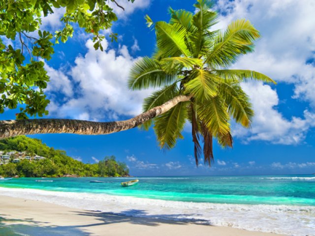 SAFARI TANZANIA CUORE AFRICANO MIGRAZIONE INVERNALE Af e MARE ZANZIBAR