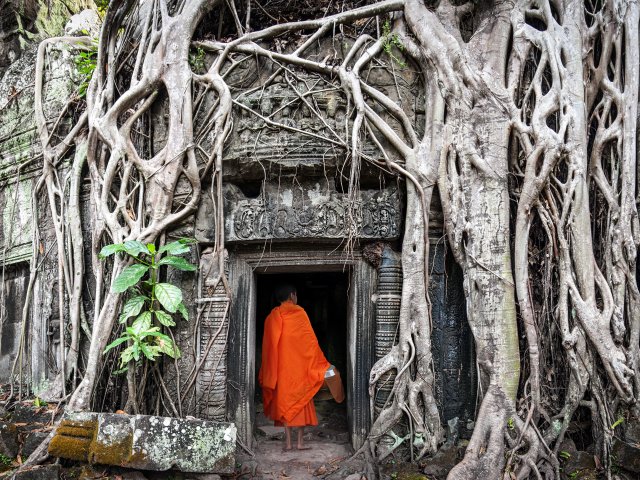 TOUR CAMBOGIA : FIORE DI LOTO