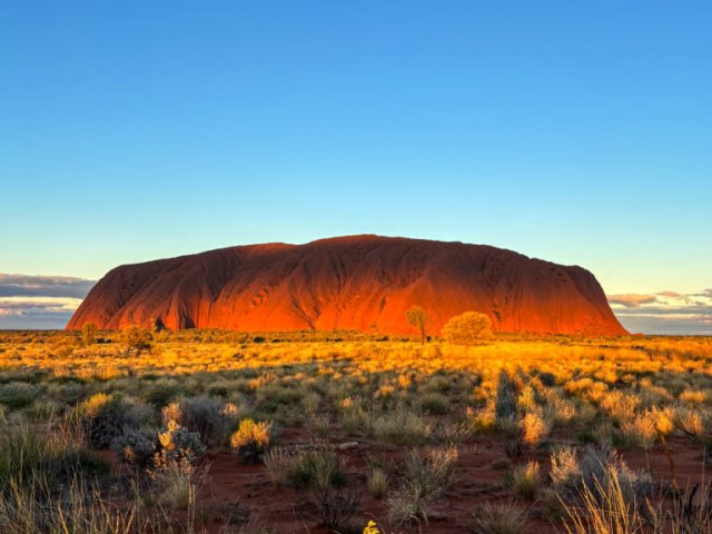 TOUR AUSTRALIA : TJUKURRPA