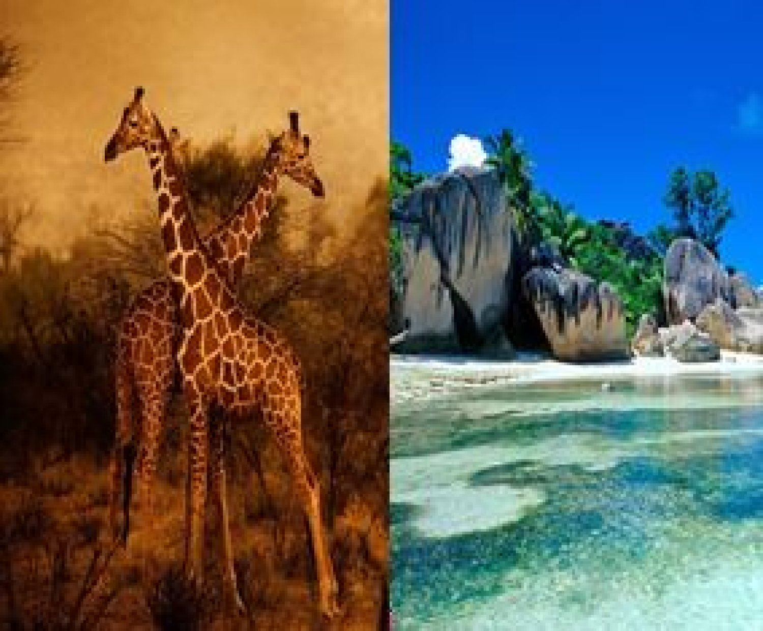 Seychelles | Viaggi combinati