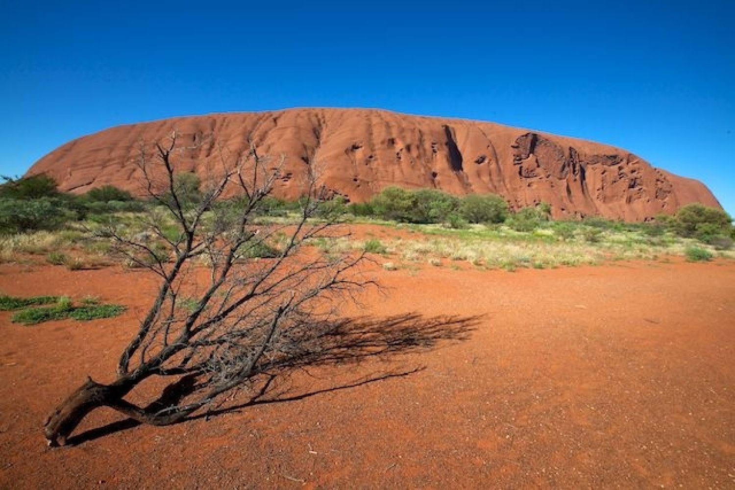 Perchè scegliere l'Australia per il proprio viaggio di nozze