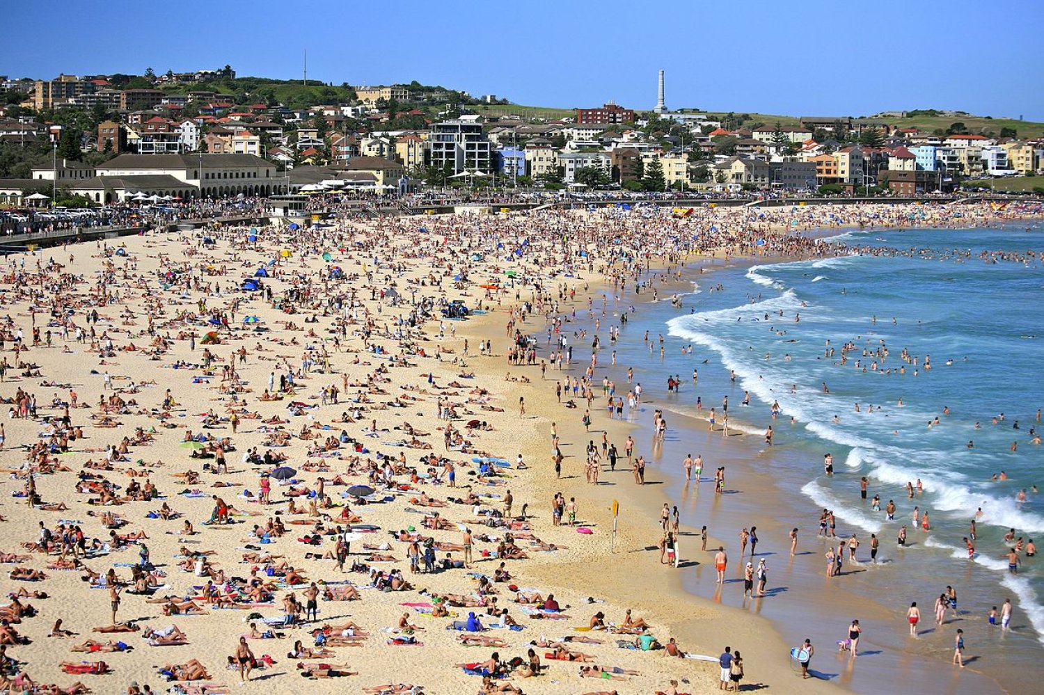 Bondi Beach, onde da surf!
