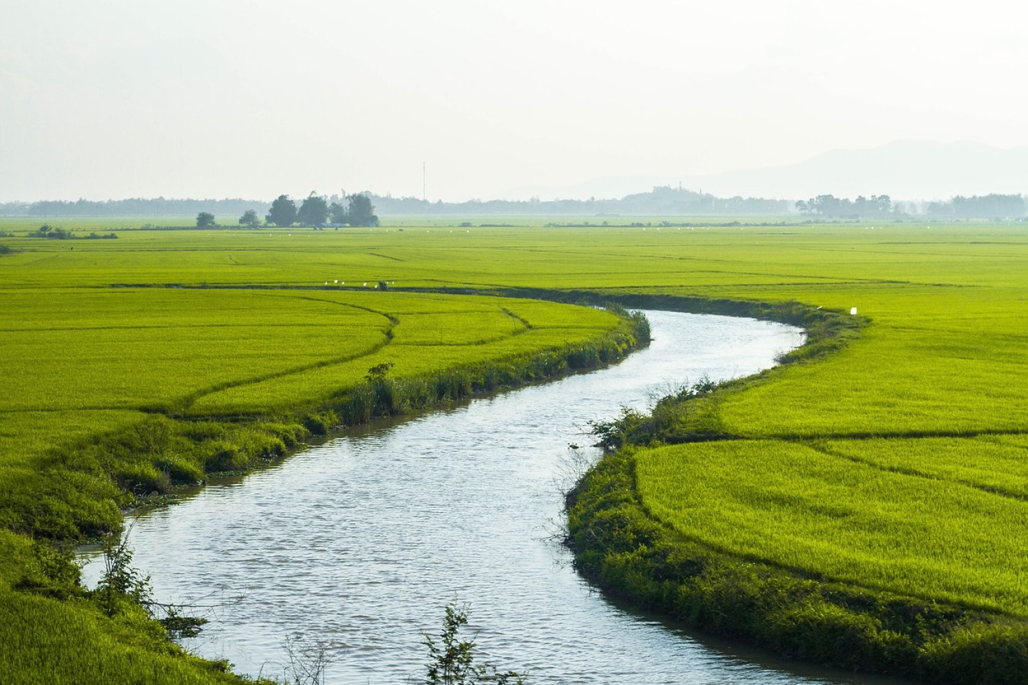 Impronte di Vietnam