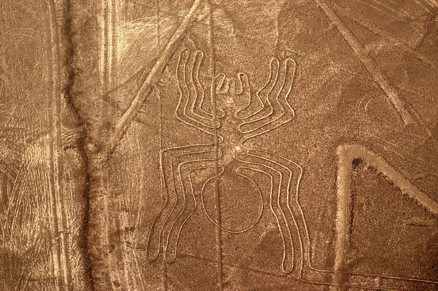 Le Linee di Nazca. Un 