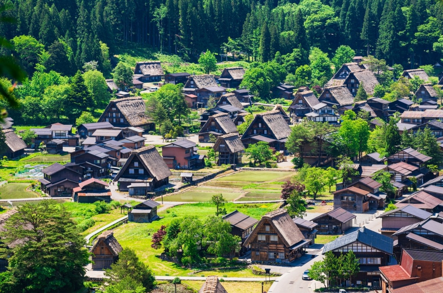 Shirakawa-go e Takayama: il Giappone rurale che non ti aspetti