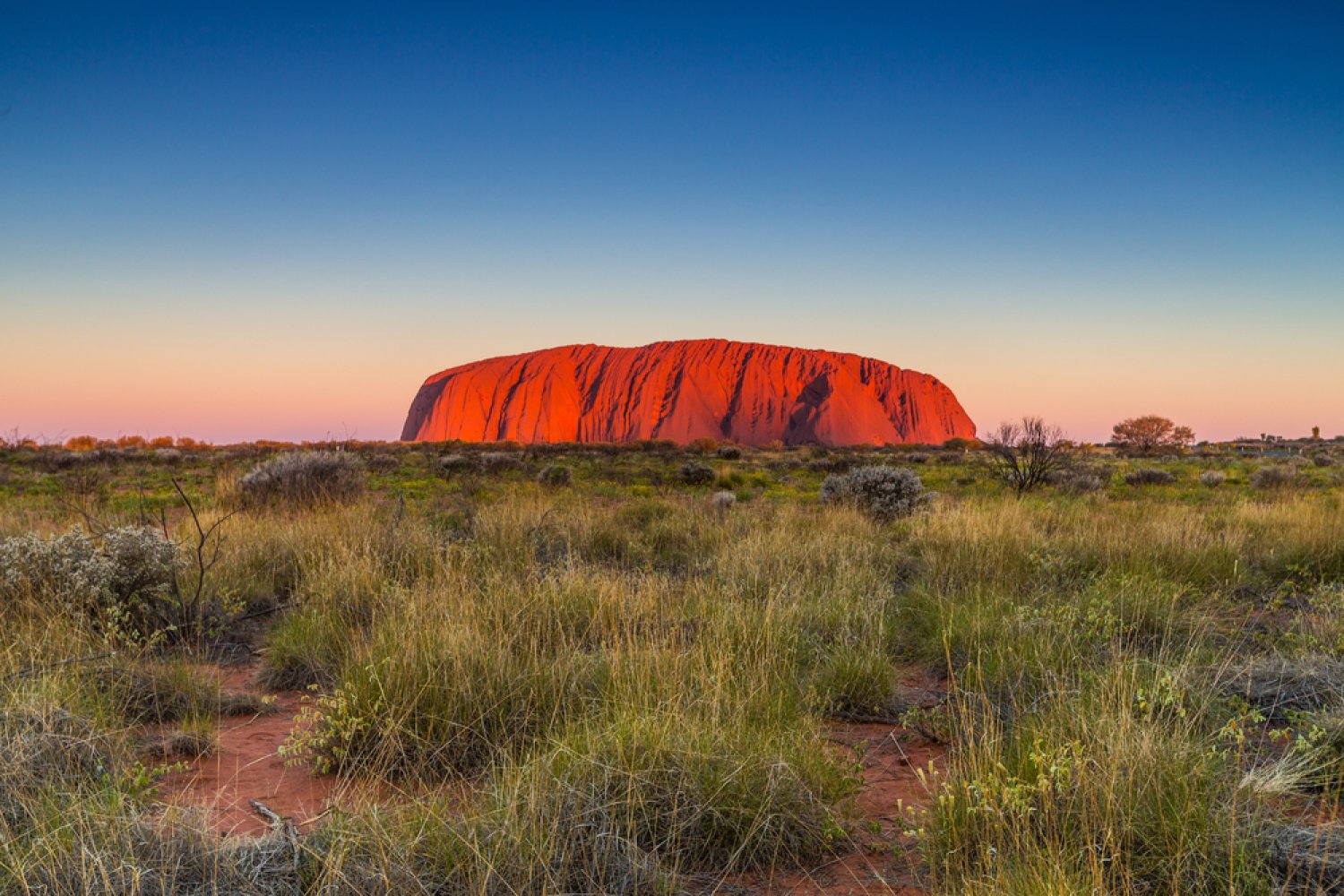 Australia: la guida completa tra città iconiche, natura incontaminata ed esperienze indimenticabili