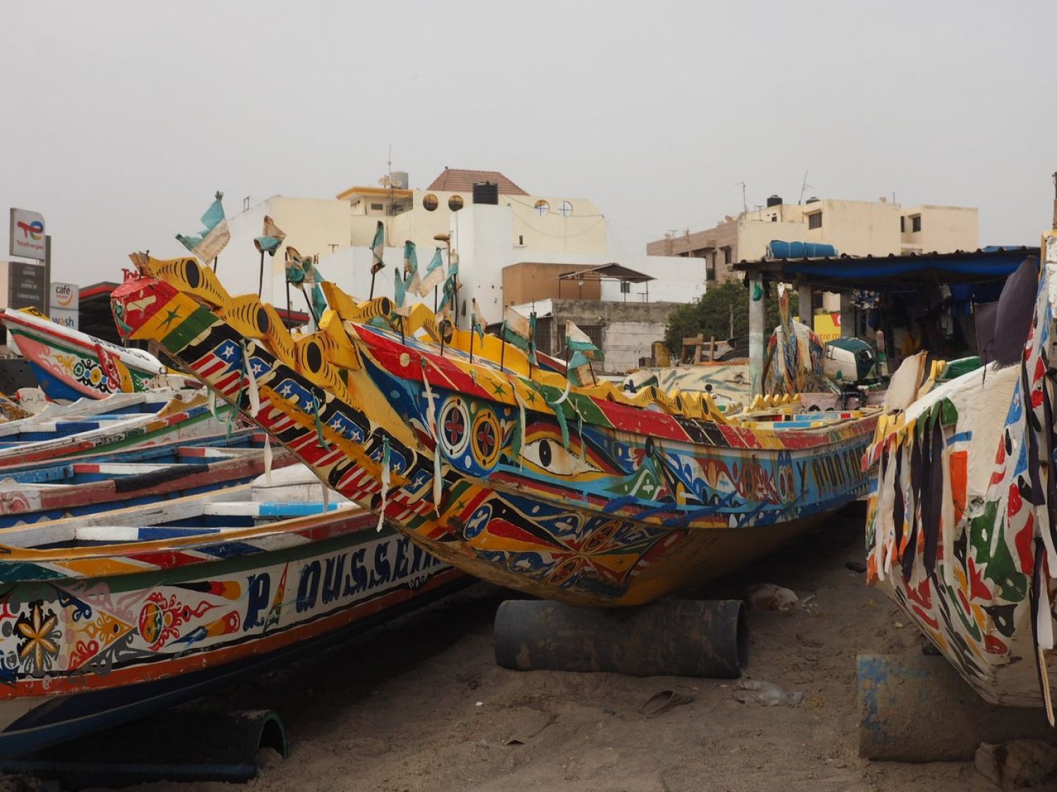 Senegal: viaggio nel cuore dell'Africa tra cultura, natura e oceano