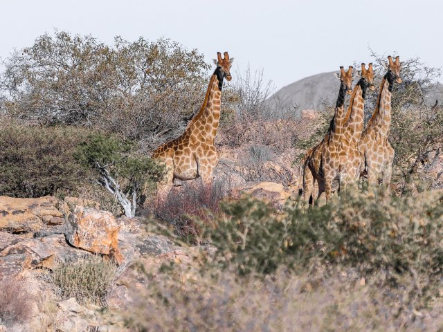 NAMIBIA : GRAN TOUR LE BELLEZZE DELLA NAMIBIA SETTEMBRE