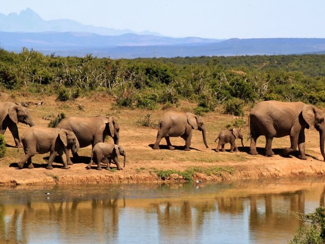 TANZANIA : Safari Grande Migrazione Sud Serengeti 