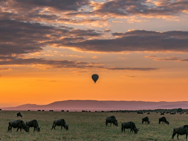 Tanzania grande migrazione Sud Serengeti da dicembre ad aprile