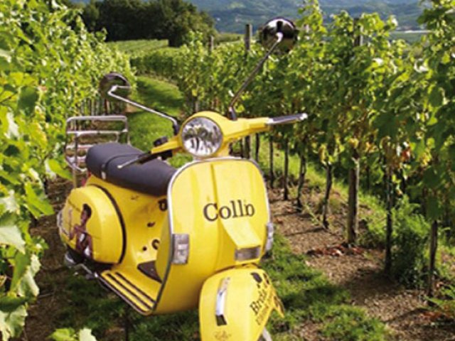 Viaggio in Friuli : Itinerario dei Vini e dei Sapori