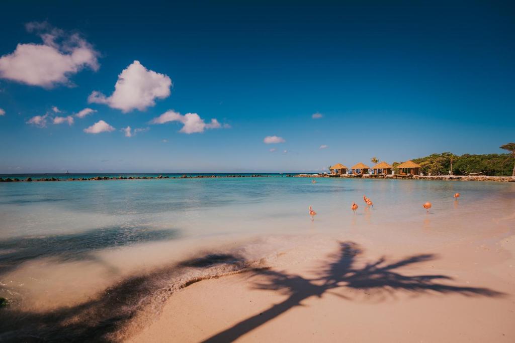Renaissance Aruba Resort & Casino